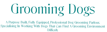 Grooming Dogs

A Purpose Built, Fully Equipped, Professional Dog Grooming Parlour,
Specialising In Working With Dogs That Can Find A Grooming Environment 
Difficult.